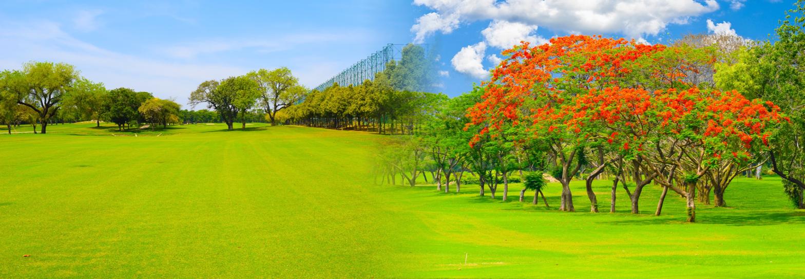 DDA Sports Complex 3